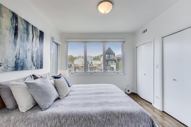 1426 N Cleveland Ave Unit 3, Chicago, IL 60610 - bedroom featuring wood finished floors and two closets