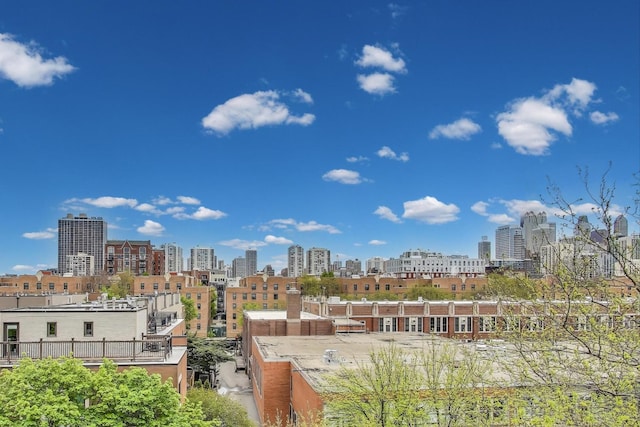 1426 N Cleveland Ave Unit 3, Chicago, IL 60610 - city view