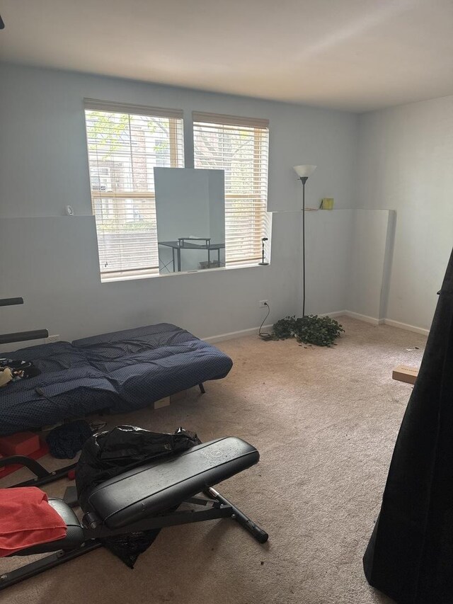 5588 Cambridge Way, Hanover Park, IL 60133 - bedroom with baseboards, multiple windows, and carpet