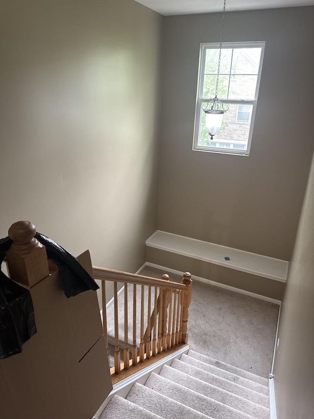 5588 Cambridge Way, Hanover Park, IL 60133 - stairway with carpet flooring