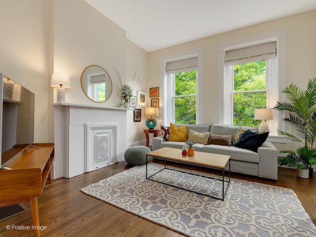 2426 W Mclean Ave, Chicago, IL 60647 - living room featuring a fireplace, wood finished floors, and lofted ceiling