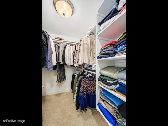 spacious closet with carpet floors