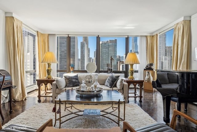 living room featuring a skyline view, wood finished floors, and a baseboard heating unit