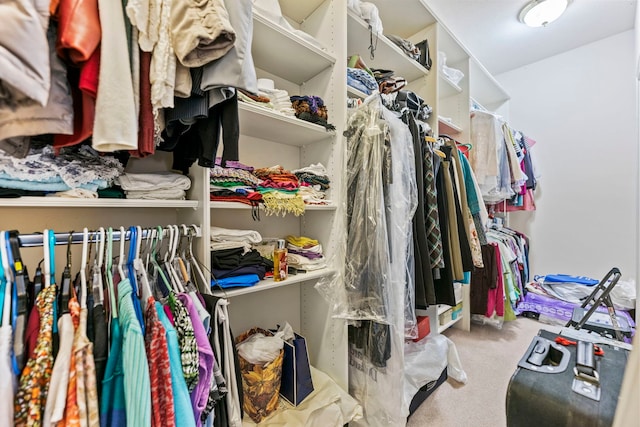 638 Roxbury Rd, Rockford, IL 61107 - spacious closet with carpet