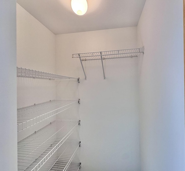 2278 Twilight Dr, Aurora, IL 60503 - view of spacious closet