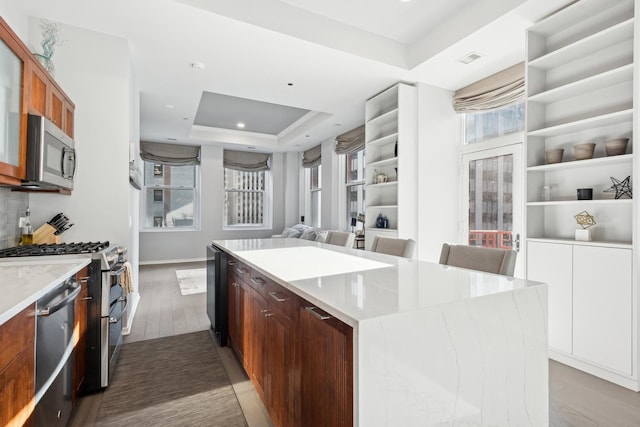 kitchen with a healthy amount of sunlight, a tray ceiling, appliances with stainless steel finishes, and a center island