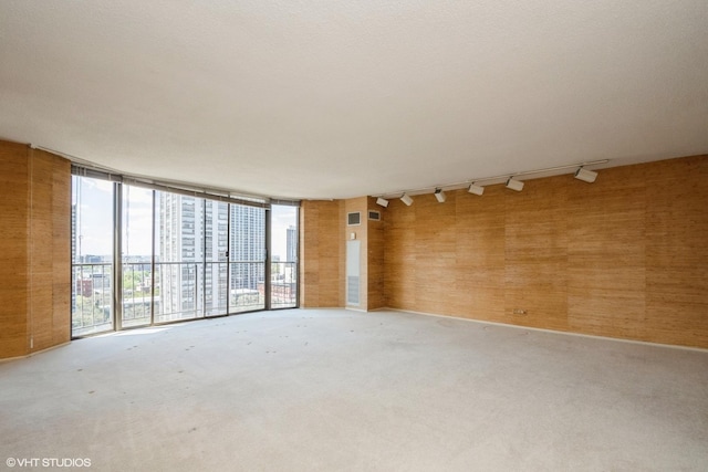 spare room featuring rail lighting and carpet flooring