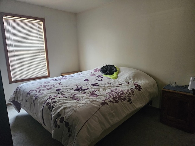 403 Spring St, Lake Geneva, WI 53147 - photo 17