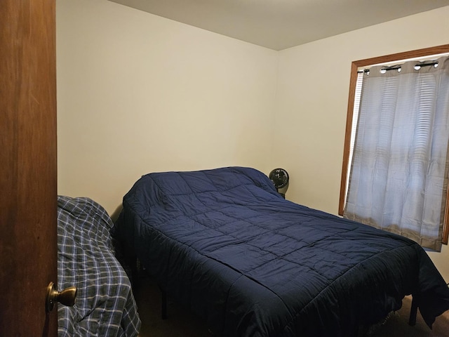 403 Spring St, Lake Geneva, WI 53147 - photo 18