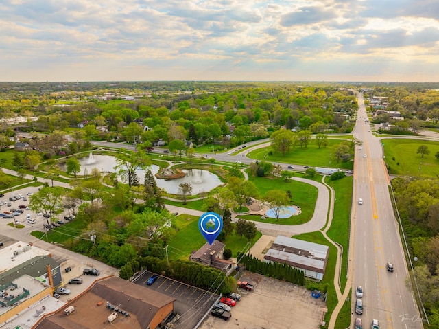 4703 Garfield Ave, Lisle, IL 60532 - aerial view at dusk of a water view