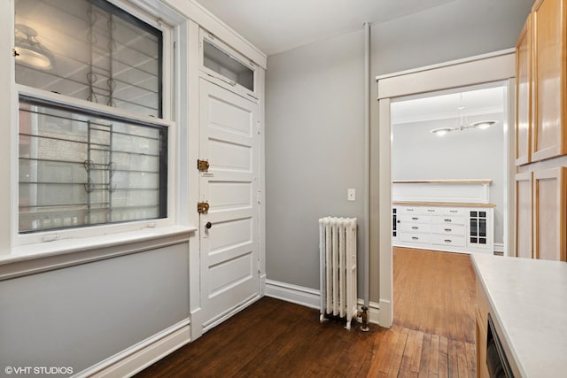 6104 S Kimbark Ave Unit 1, Chicago, IL 60637 - foyer with radiator heating unit, dark wood-type flooring, and baseboards