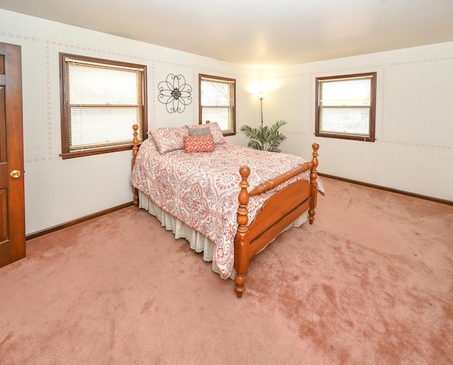 249 S Arlington Heights Rd, Elk Grove Village, IL 60007 - bedroom with light colored carpet and baseboards