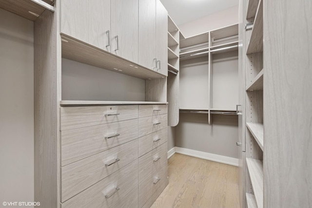 216 S Green St Unit 1N, Chicago, IL 60607 - spacious closet with light wood finished floors