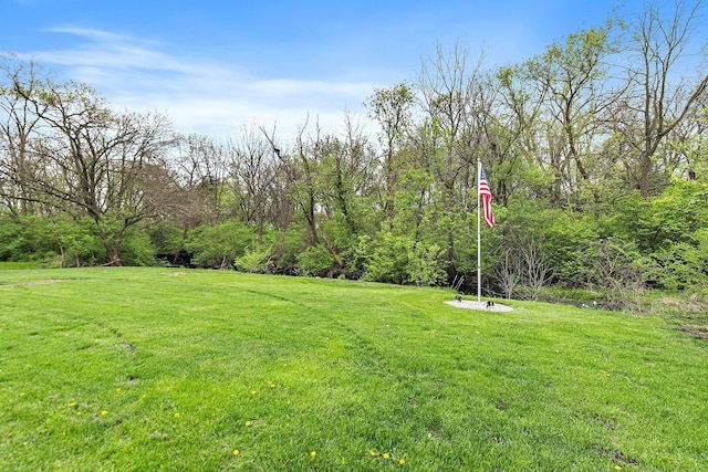 4603 Bonner Dr, Mchenry, IL 60050 - view of grassy yard