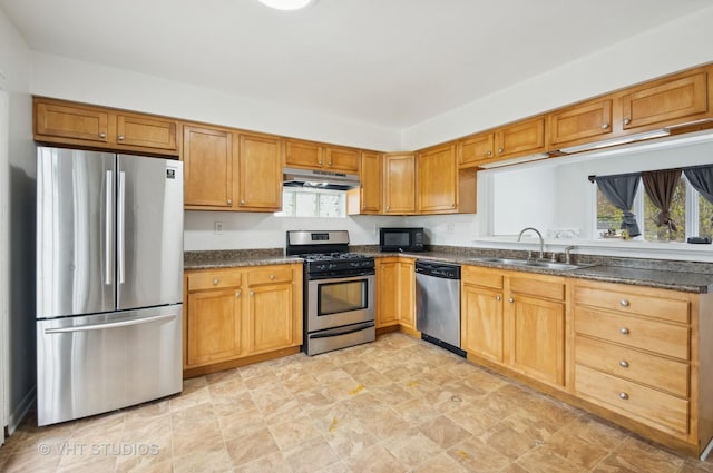 kitchen featuring under cabinet range hood, stainless steel appliances, a healthy amount of sunlight, and a sink