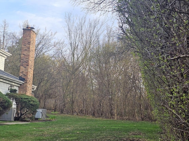 81 W N Ave, Lake Forest, IL 60045 - view of yard