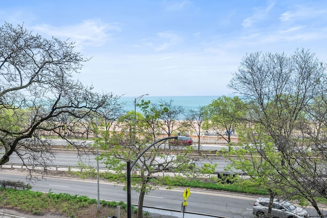 1040 N Lake Shore Dr Unit 4C, Chicago, IL 60611 - water view