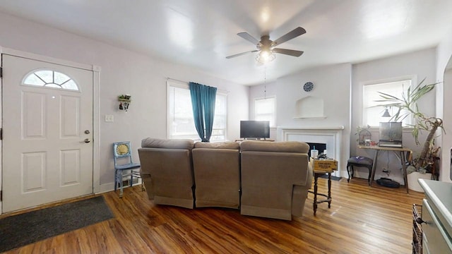 1013 W Springfield Ave, Champaign, IL 61821 - living area with a ceiling fan, plenty of natural light, wood finished floors, and a fireplace
