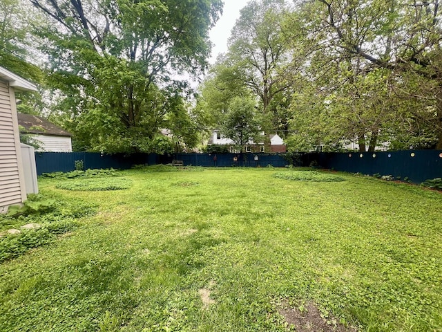 1013 W Springfield Ave, Champaign, IL 61821 - view of yard featuring fence