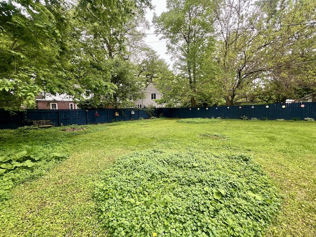 1013 W Springfield Ave, Champaign, IL 61821 - view of yard with fence