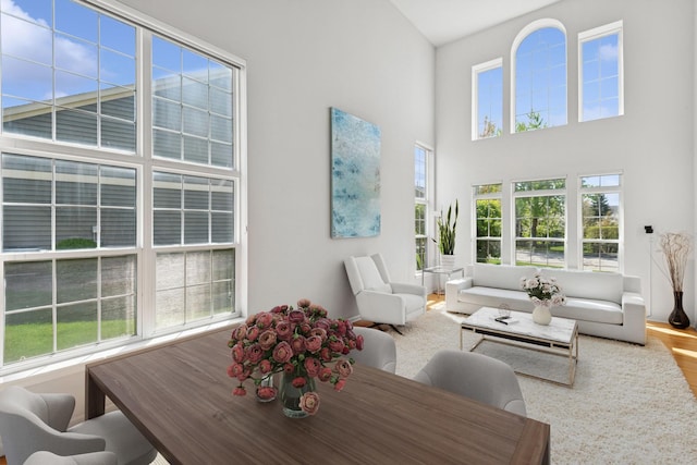 62 Andover Cir, Northbrook, IL 60062 - living room featuring a towering ceiling and wood finished floors