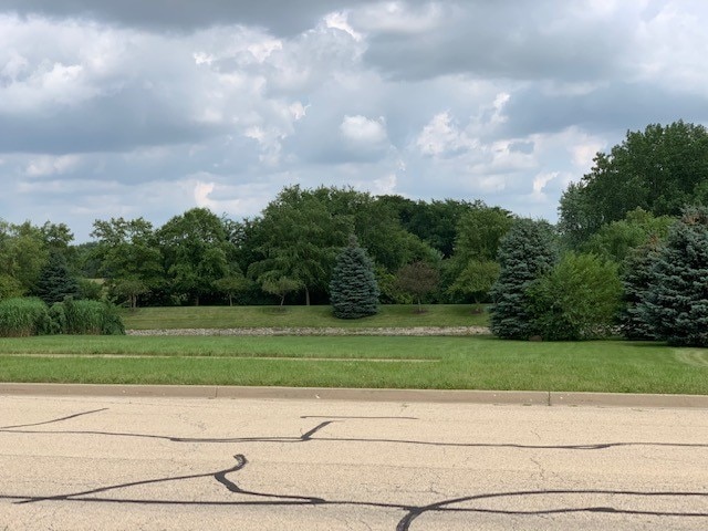 LOT15 Prairie Hill Ln, Plainfield, IL 60544