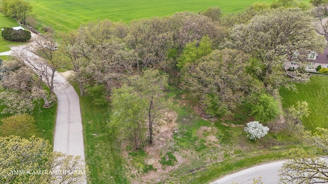 LOT3 Ellwood Greens Rd, Genoa, IL 60135 - photo 2