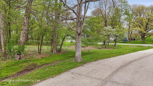 LOT3 Ellwood Greens Rd, Genoa, IL 60135 - photo 15