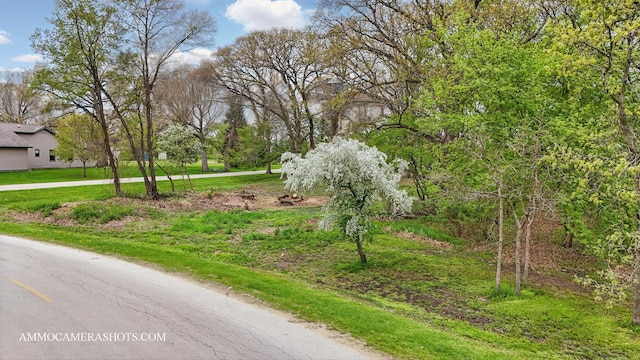 LOT3 Ellwood Greens Rd, Genoa, IL 60135 - photo 16