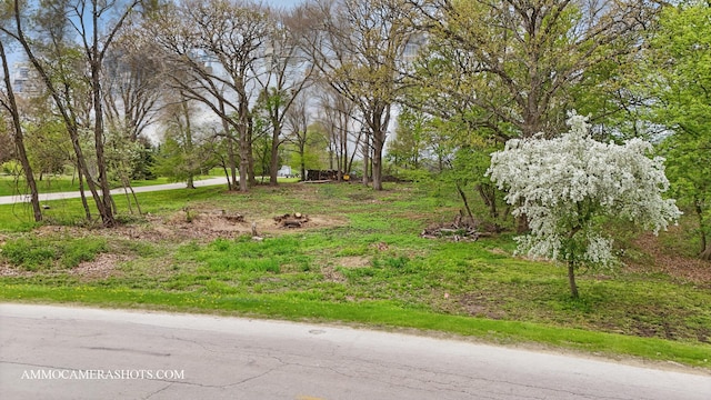 LOT3 Ellwood Greens Rd, Genoa, IL 60135 - photo 17
