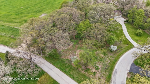 LOT3 Ellwood Greens Rd, Genoa, IL 60135 - photo 3