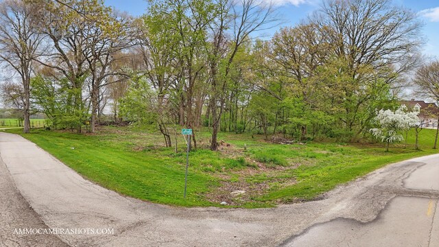 LOT3 Ellwood Greens Rd, Genoa, IL 60135 - photo 5