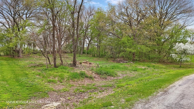 LOT3 Ellwood Greens Rd, Genoa, IL 60135 - photo 6