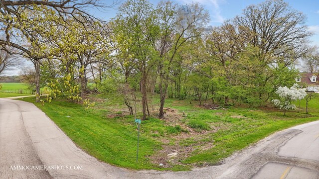 LOT3 Ellwood Greens Rd, Genoa, IL 60135 - photo 8