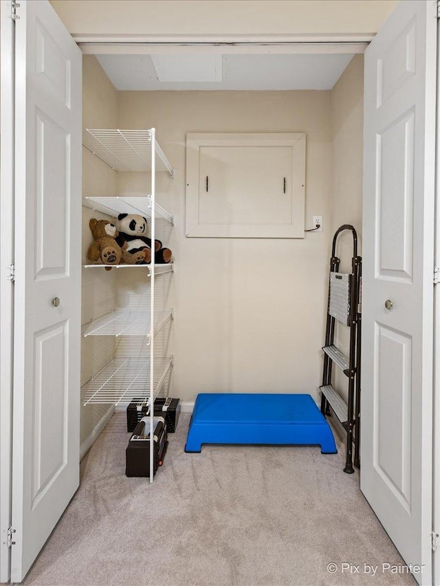 1840 Nashville Ln, Crystal Lake, IL 60014 - view of storage room