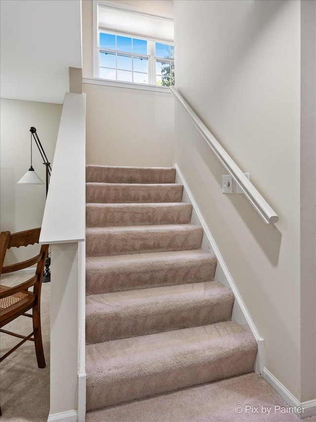 1840 Nashville Ln, Crystal Lake, IL 60014 - stairway featuring carpet flooring and baseboards