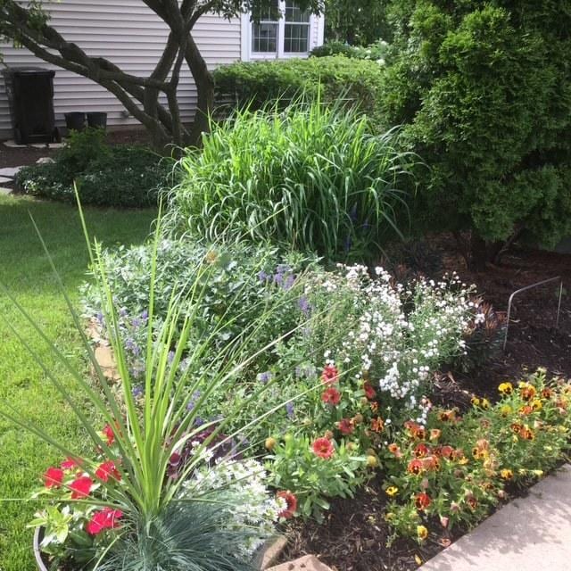 1840 Nashville Ln, Crystal Lake, IL 60014 - view of yard