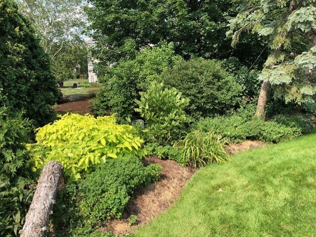 1840 Nashville Ln, Crystal Lake, IL 60014 - view of yard