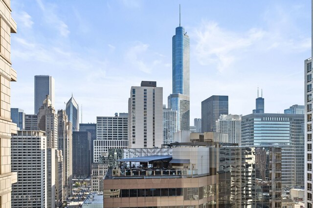 118 E Erie St Unit 25D, Chicago, IL 60611 - photo 24