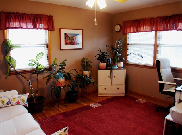 571 Dawn Cir, Grayslake, IL 60030 - office space featuring plenty of natural light, wood finished floors, and a ceiling fan