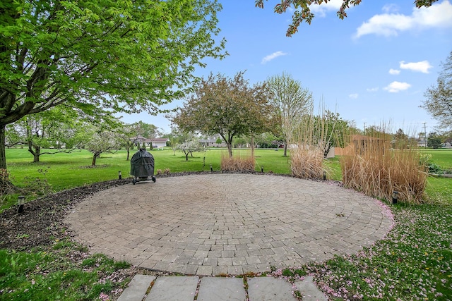 2800 Abbington Dr, New Lenox, IL 60451 - view of property's community with a yard
