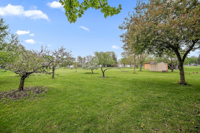2800 Abbington Dr, New Lenox, IL 60451 - view of green lawn