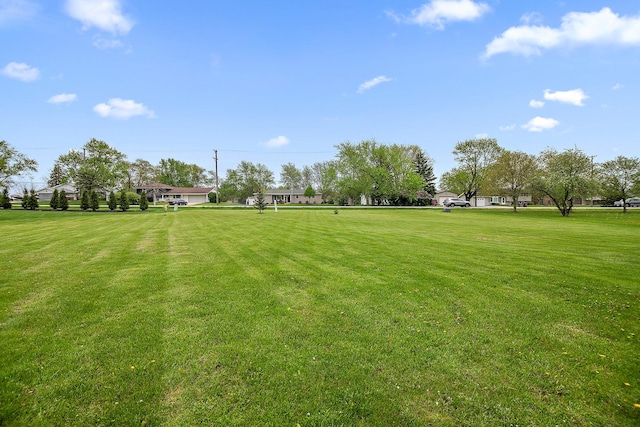 2800 Abbington Dr, New Lenox, IL 60451 - view of grassy yard