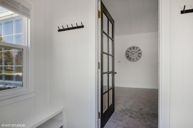 519 Catalpa Dr, Round Lake, IL 60073 - hallway featuring carpet floors, ornamental molding, and baseboards
