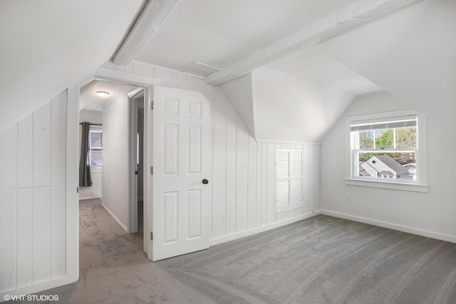 519 Catalpa Dr, Round Lake, IL 60073 - bonus room featuring lofted ceiling and carpet flooring