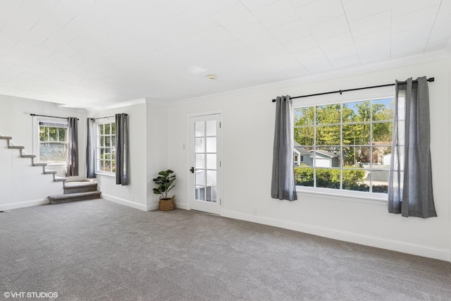 519 Catalpa Dr, Round Lake, IL 60073 - unfurnished living room with carpet, healthy amount of natural light, stairway, and baseboards