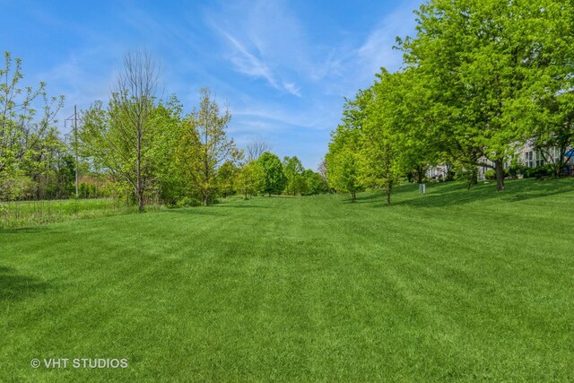 view of grassy yard