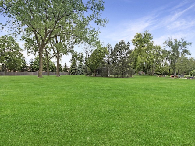 848 Braintree Ln, Bartlett, IL 60103 - view of yard