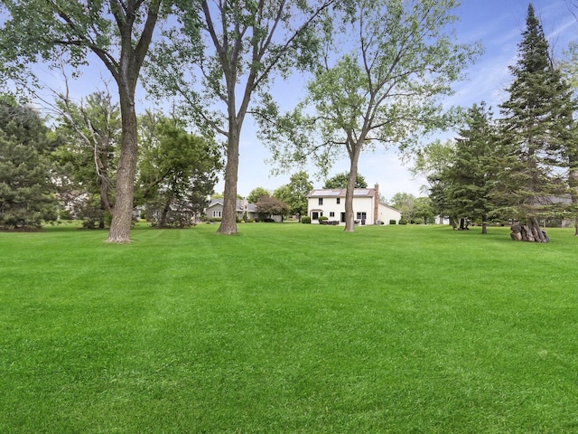 848 Braintree Ln, Bartlett, IL 60103 - view of green lawn