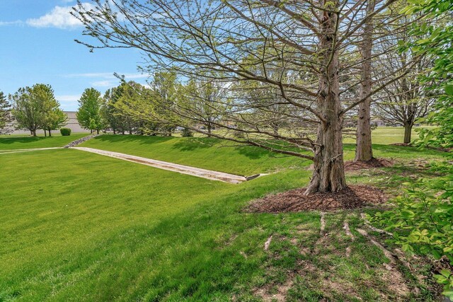 472 Linden Cir, Beecher, IL 60401 - surrounding community with a yard